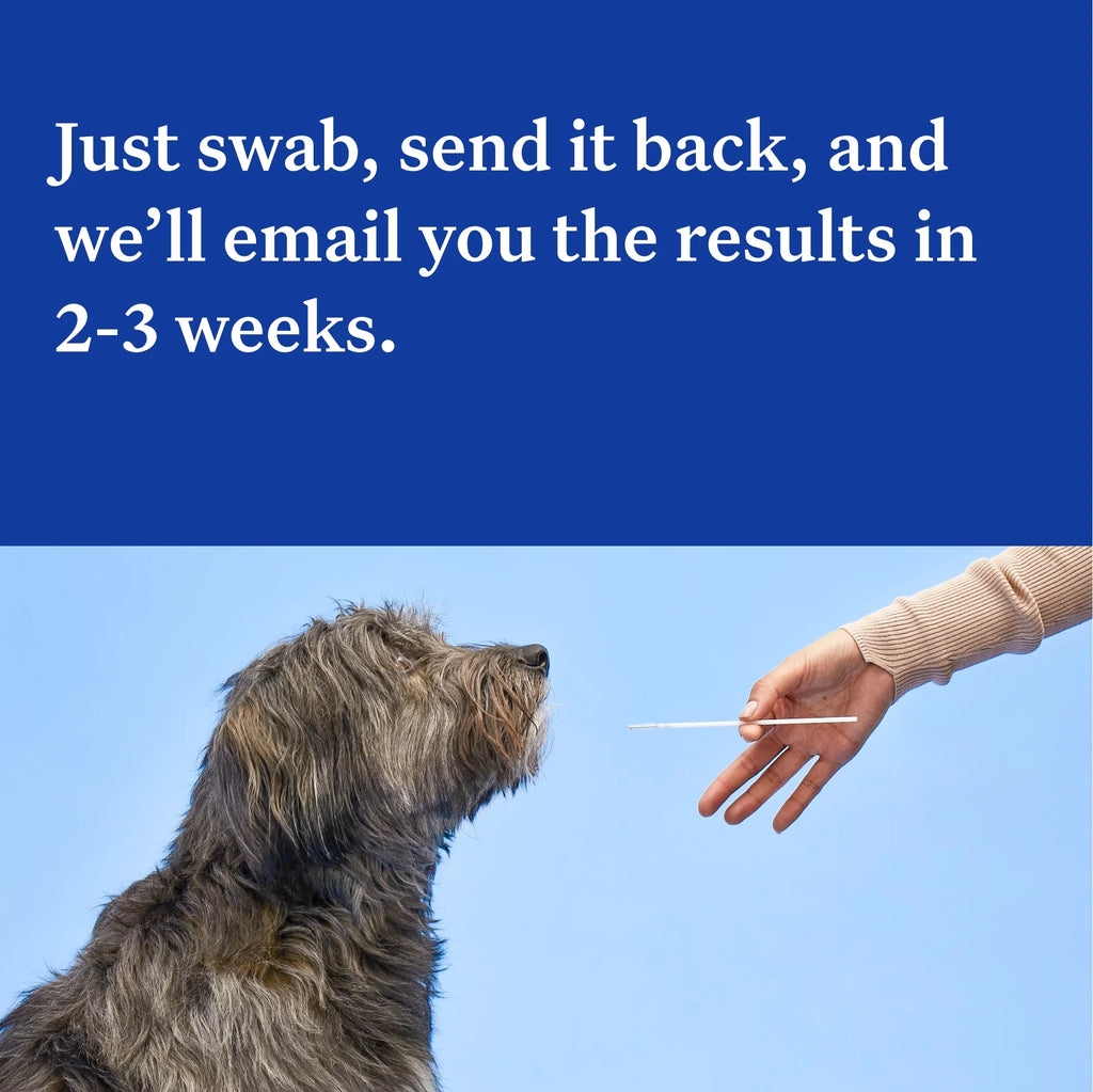 Dog DNA Test Kit M25081