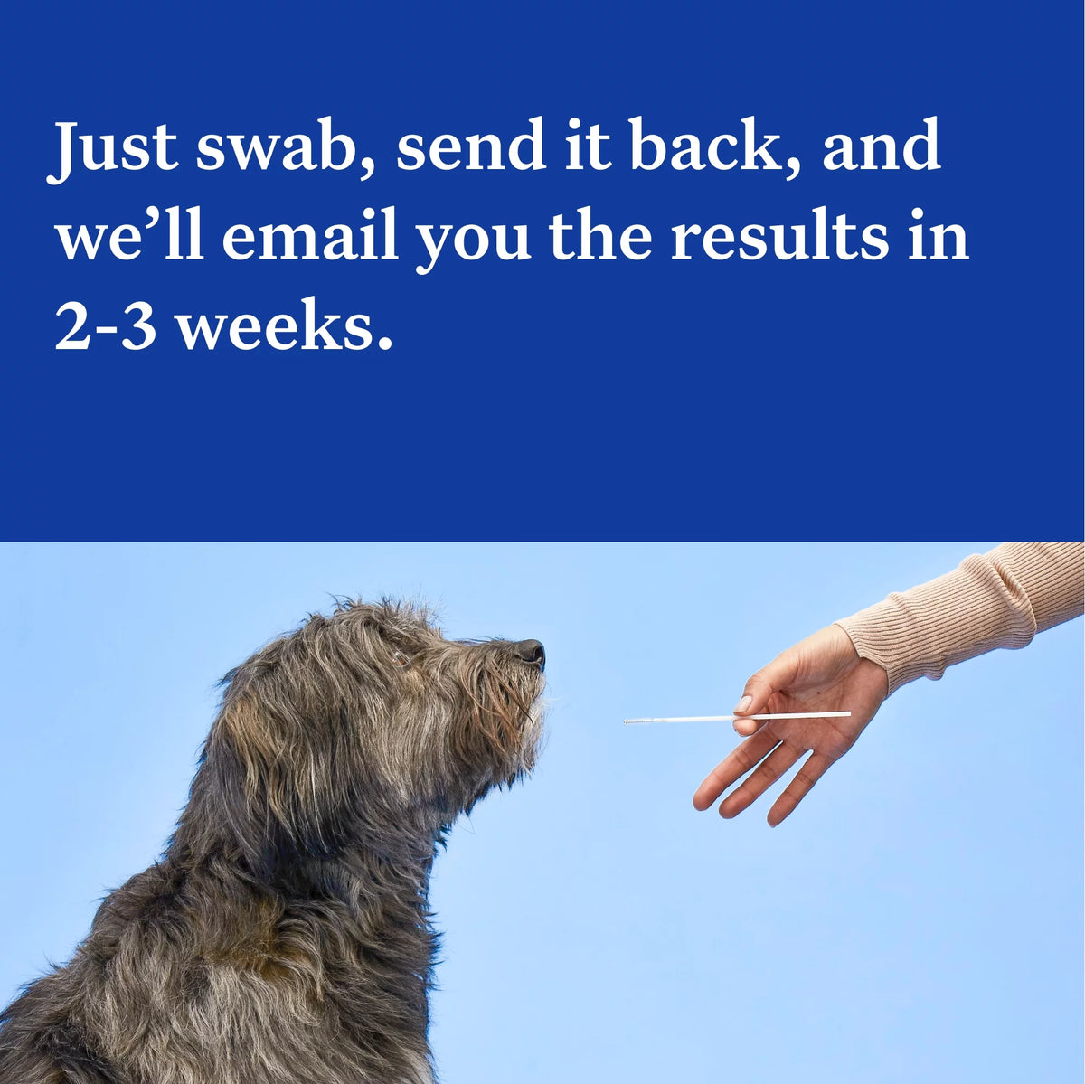 Dog DNA Test Kit M25081