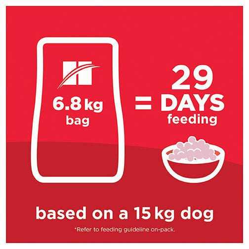 Adult Chicken Dog Food S448939