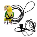 Adjustable Bird Harness and Leash G362