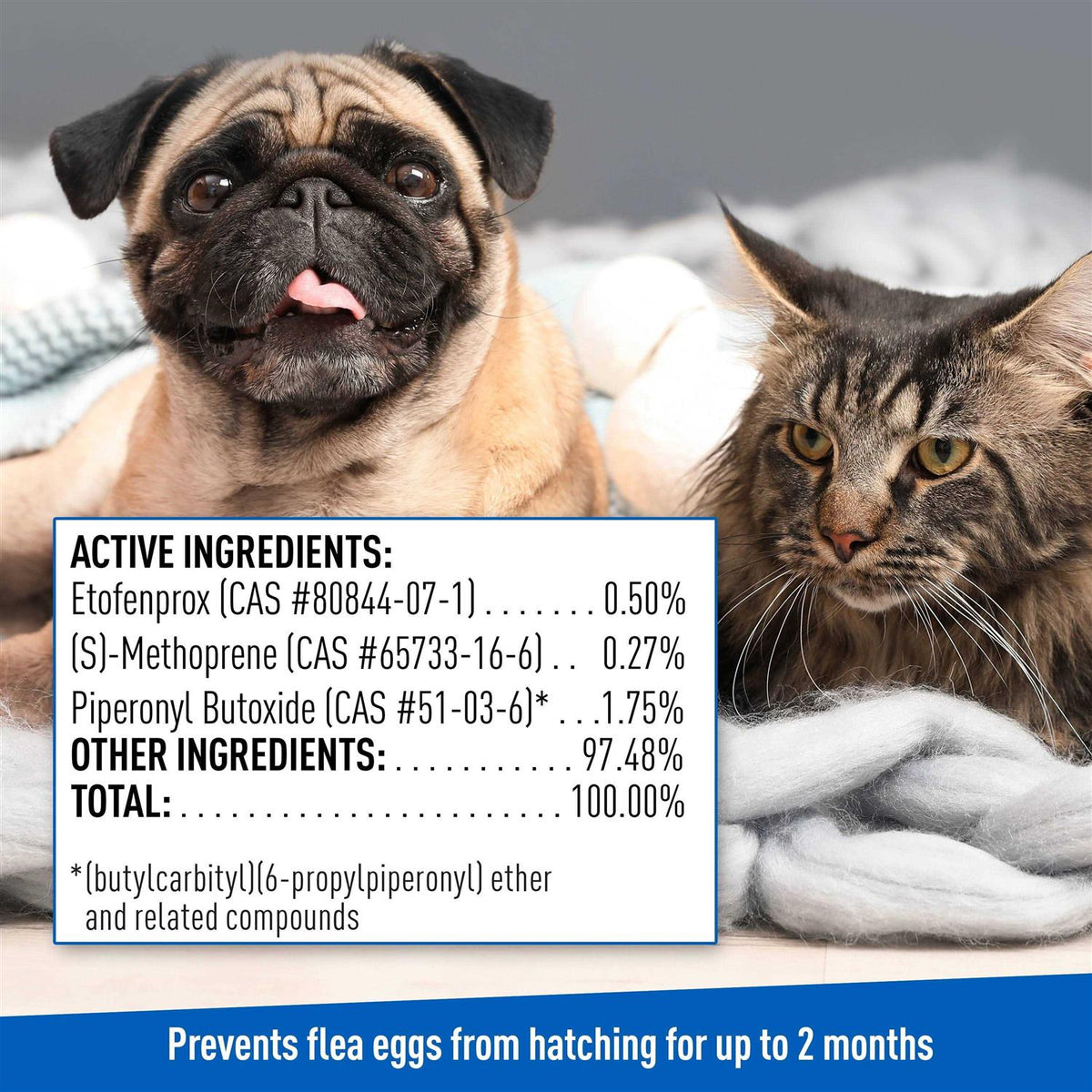Flea Tick Spray B97779