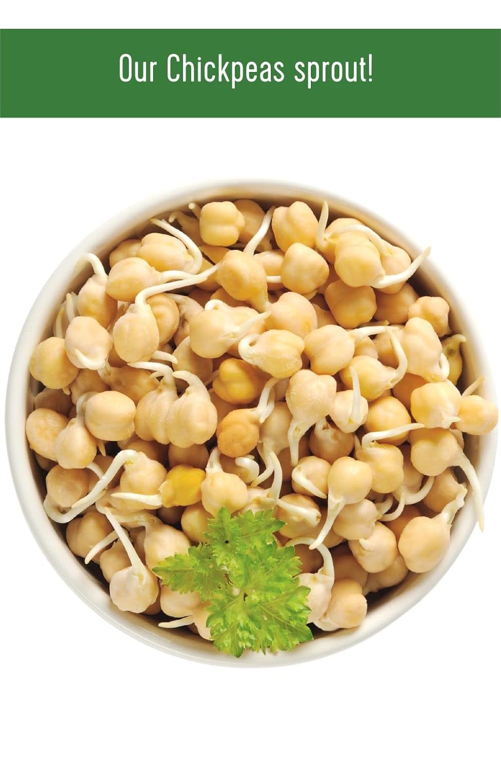4 LBS Non-GMO Kosher Chickpeas N2220
