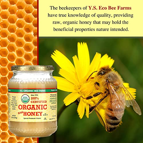 1 Lb Organic Raw Honey Y888664