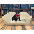 Indoor Dog Potty Tray U649400