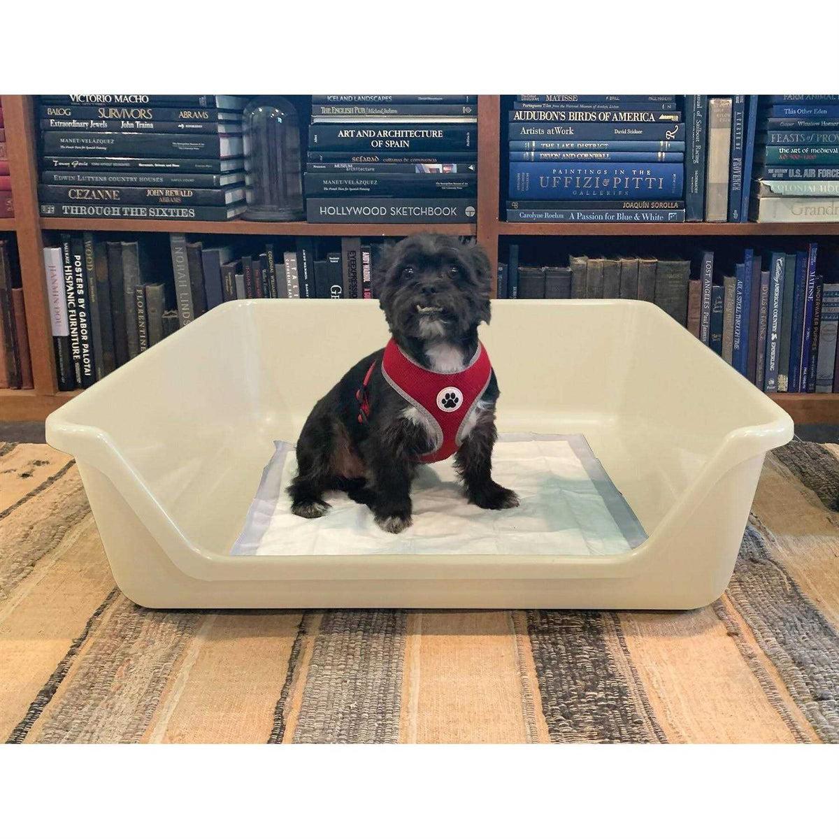 Indoor Dog Potty Tray U649400