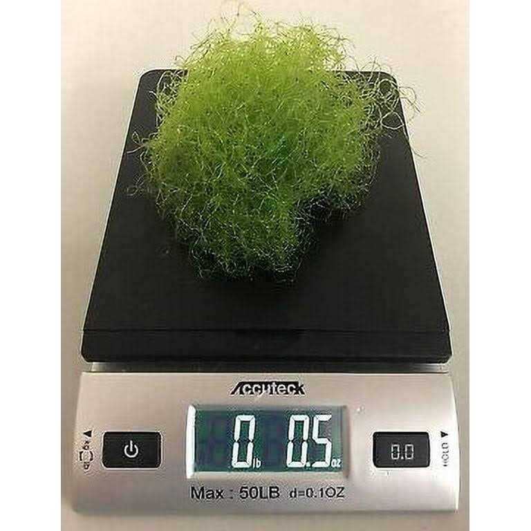 Chaeto T267