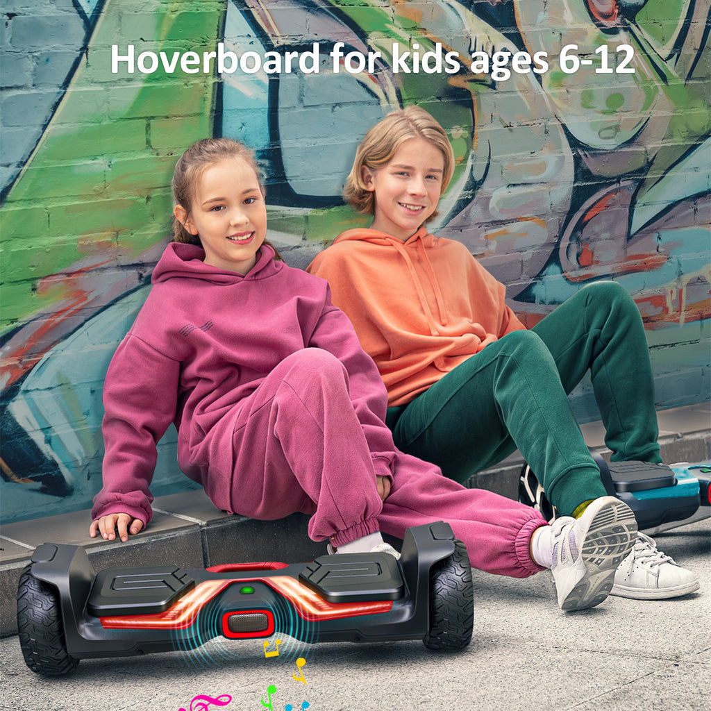 6.5" Off Road Self Balancing Hoverboard with 500w Motor R8009