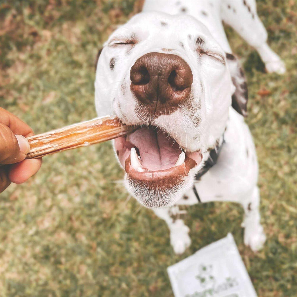 Natural Beef Bully Sticks for Dogs S324