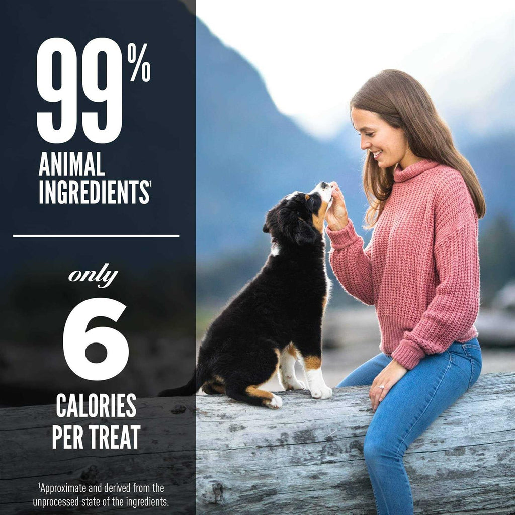 Freeze Dried Dog Treats J221