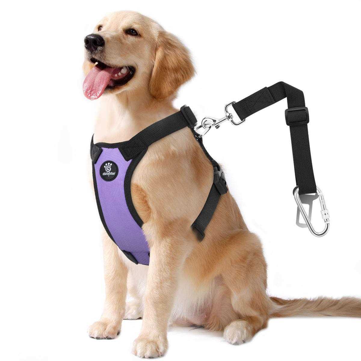 Adjustable Soft Padded Mesh Dog Safety Vest Harness with Travel Strap and Carabiner I813582