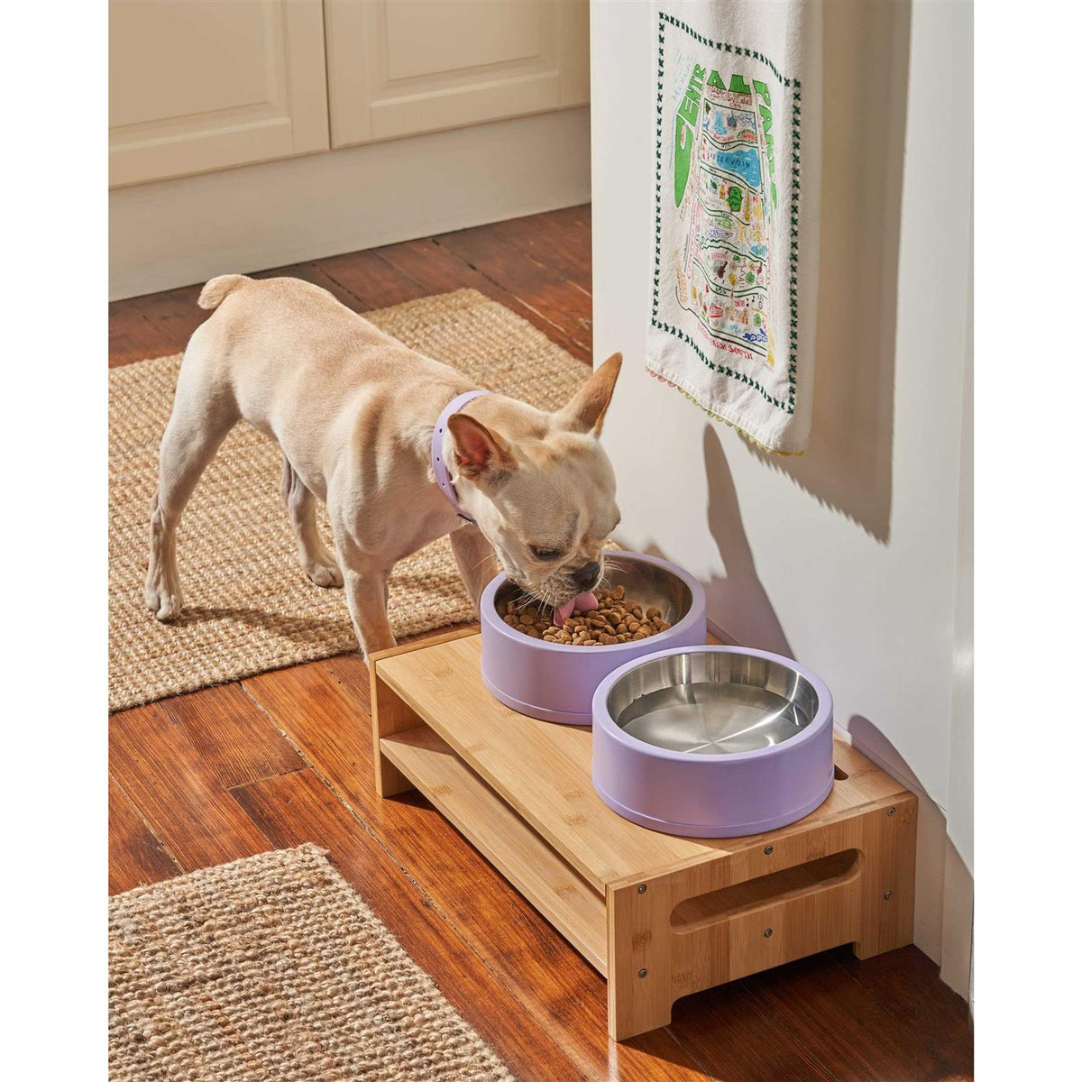 Pet Bowl Q48254