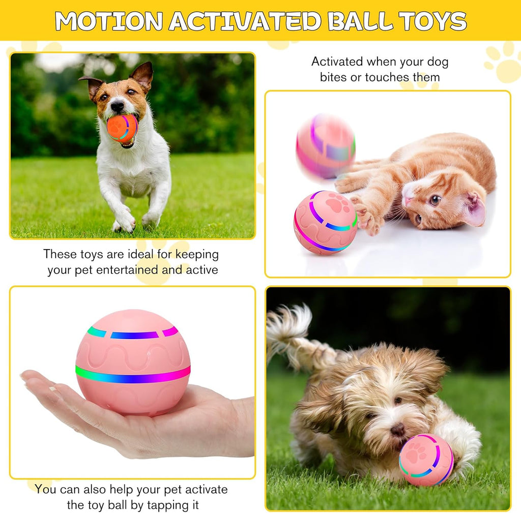 2 Pcs Interactive Dog Toys Peppy Pet Ball Moving Automatic Rolling Ball with LED Flashlight USB Rechargeable (Orange, Pink) W55211