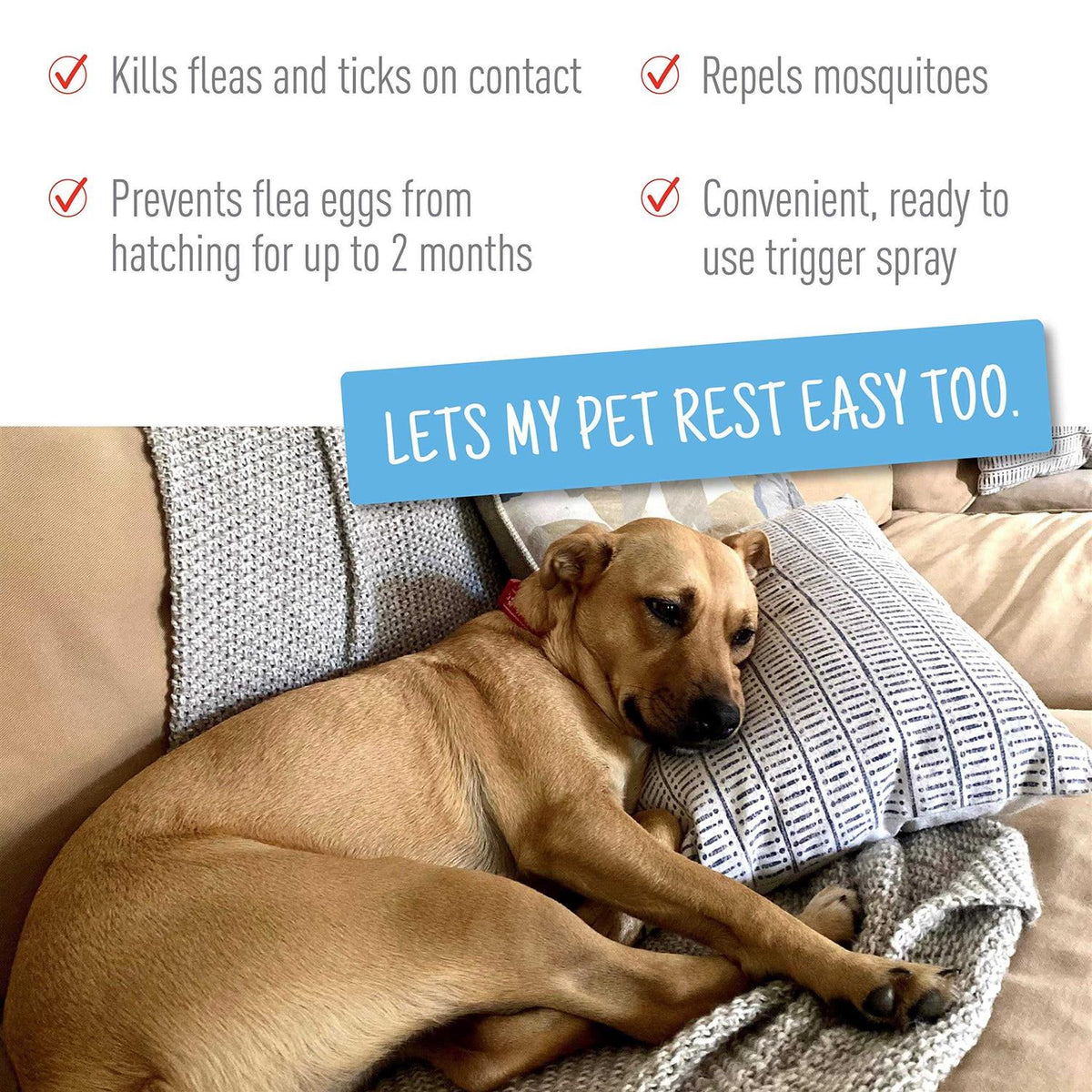 Flea Tick Spray B97779
