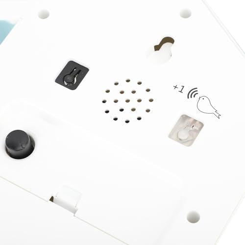 Bird Voice Call Wall Clock with Pendulum E4951
