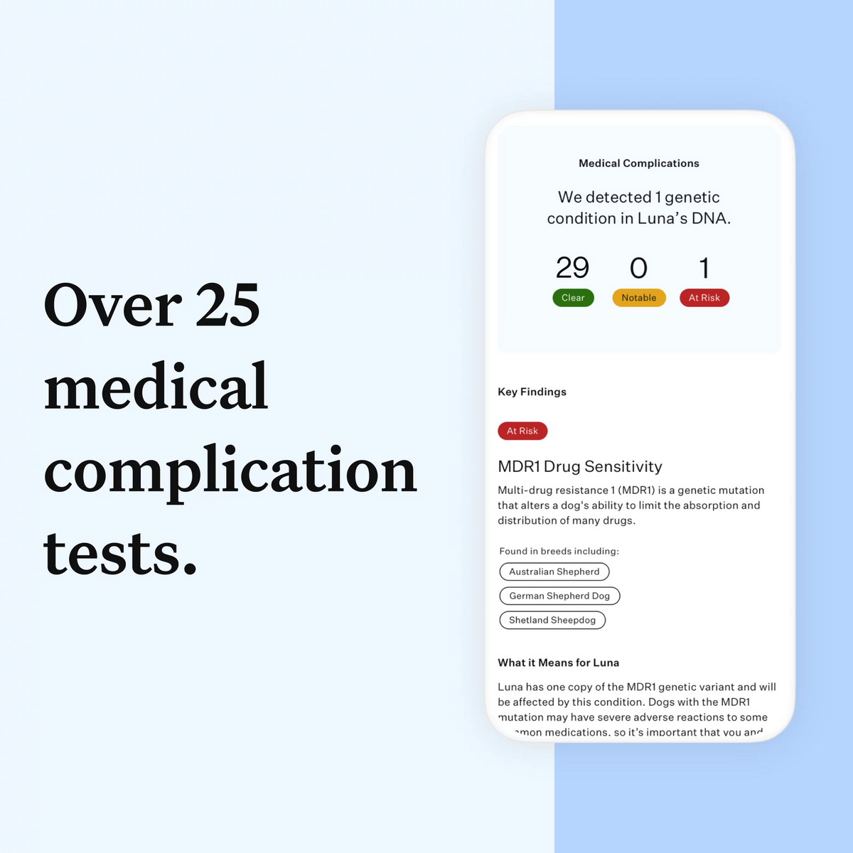 Dog DNA Test Kit M25081