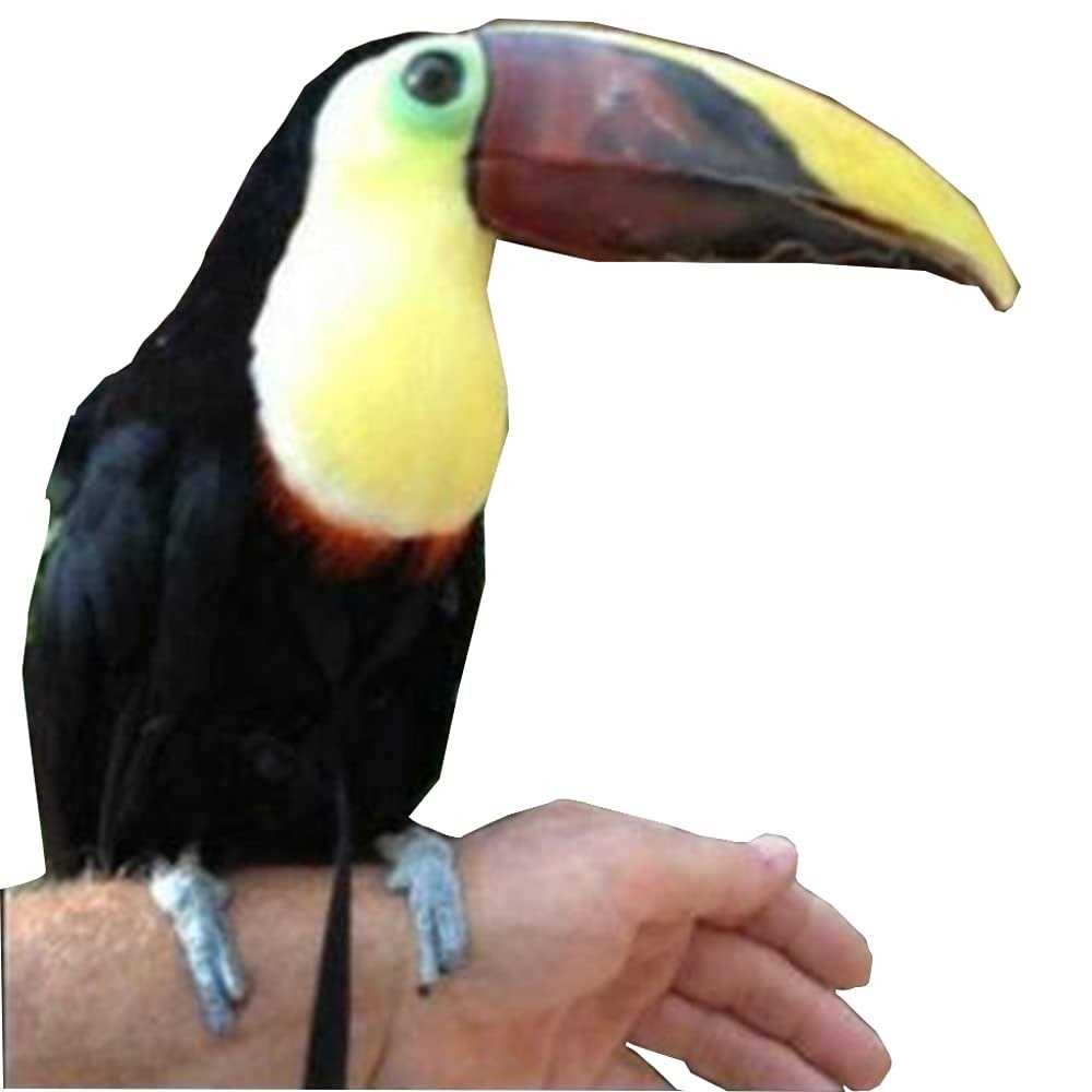 Adjustable Bird Harness and Leash G362