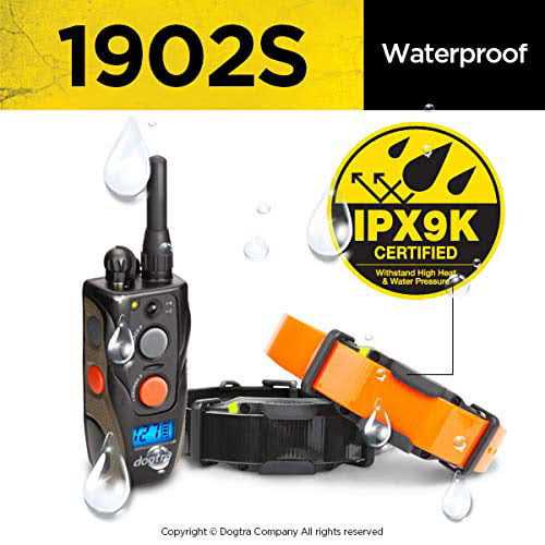 Remote Training Collar L703154