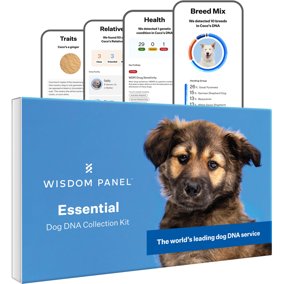 Dog DNA Test Kit M25081