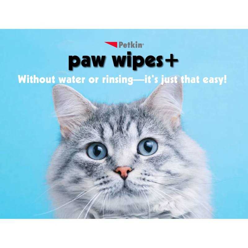 Chlorhexidine Antiseptic Dog & Cat Wipes H452499