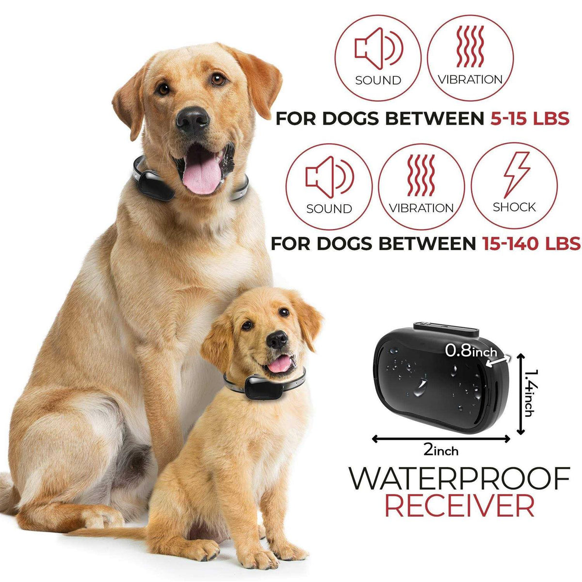 Extra Small Dog Training Collar with Remote M239985