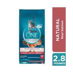 Dry Cat Food With Real Chicken L809