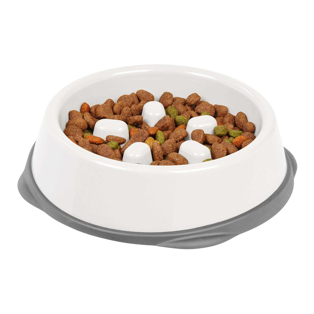 Slow Feeding Bowl for Short Snouted Pets Y602627
