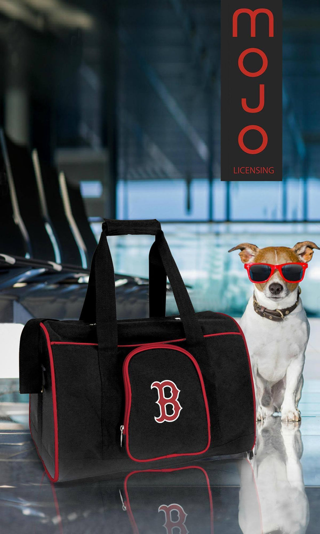 Premium Pet Carrier X77088