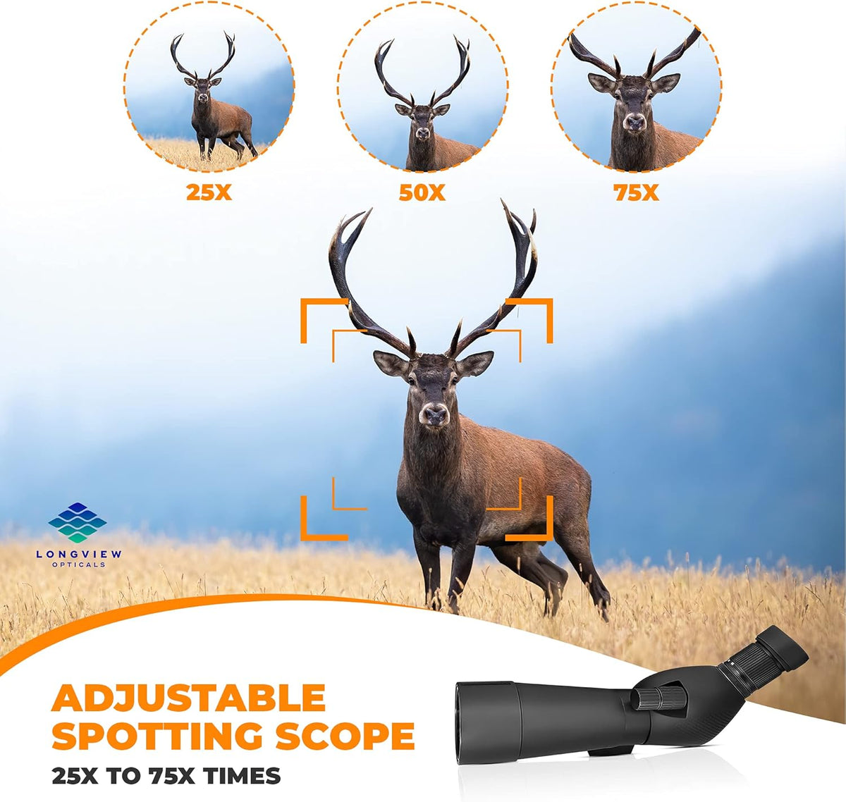 Bird Spotting Scope with Tripod and Phone Adapter Y47483