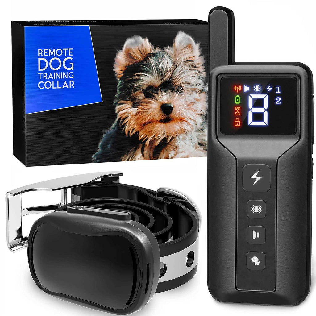 Extra Small Dog Training Collar with Remote M239985