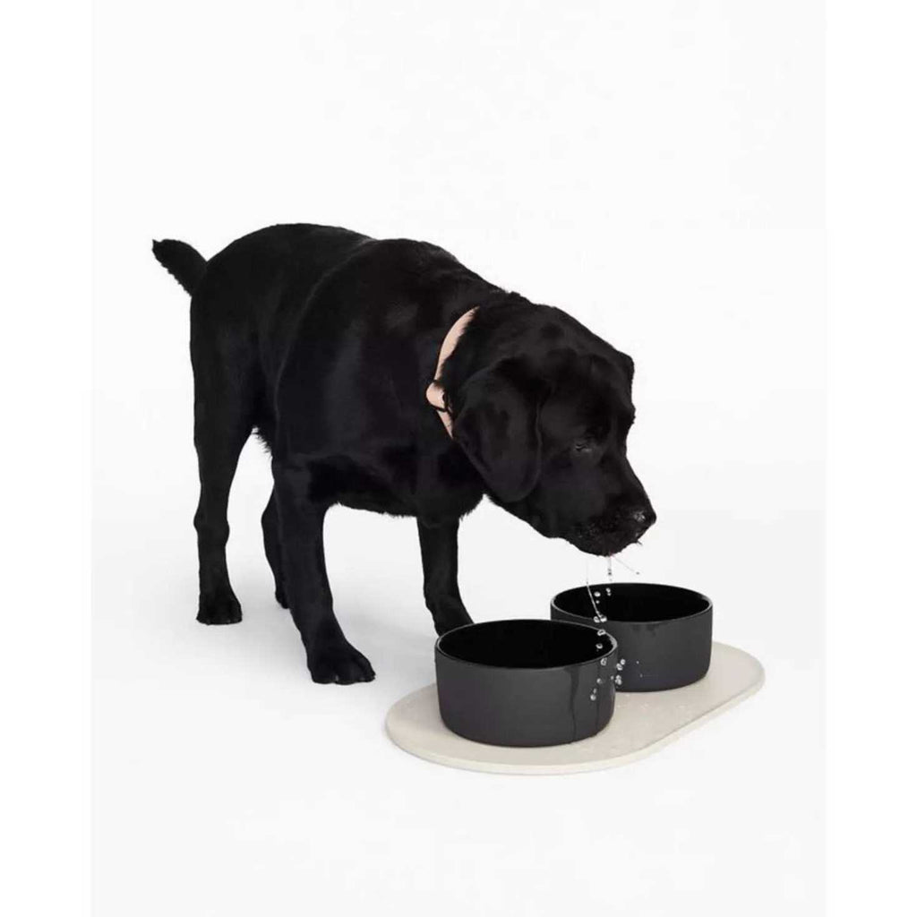 Dog Bowl Mat Y91293