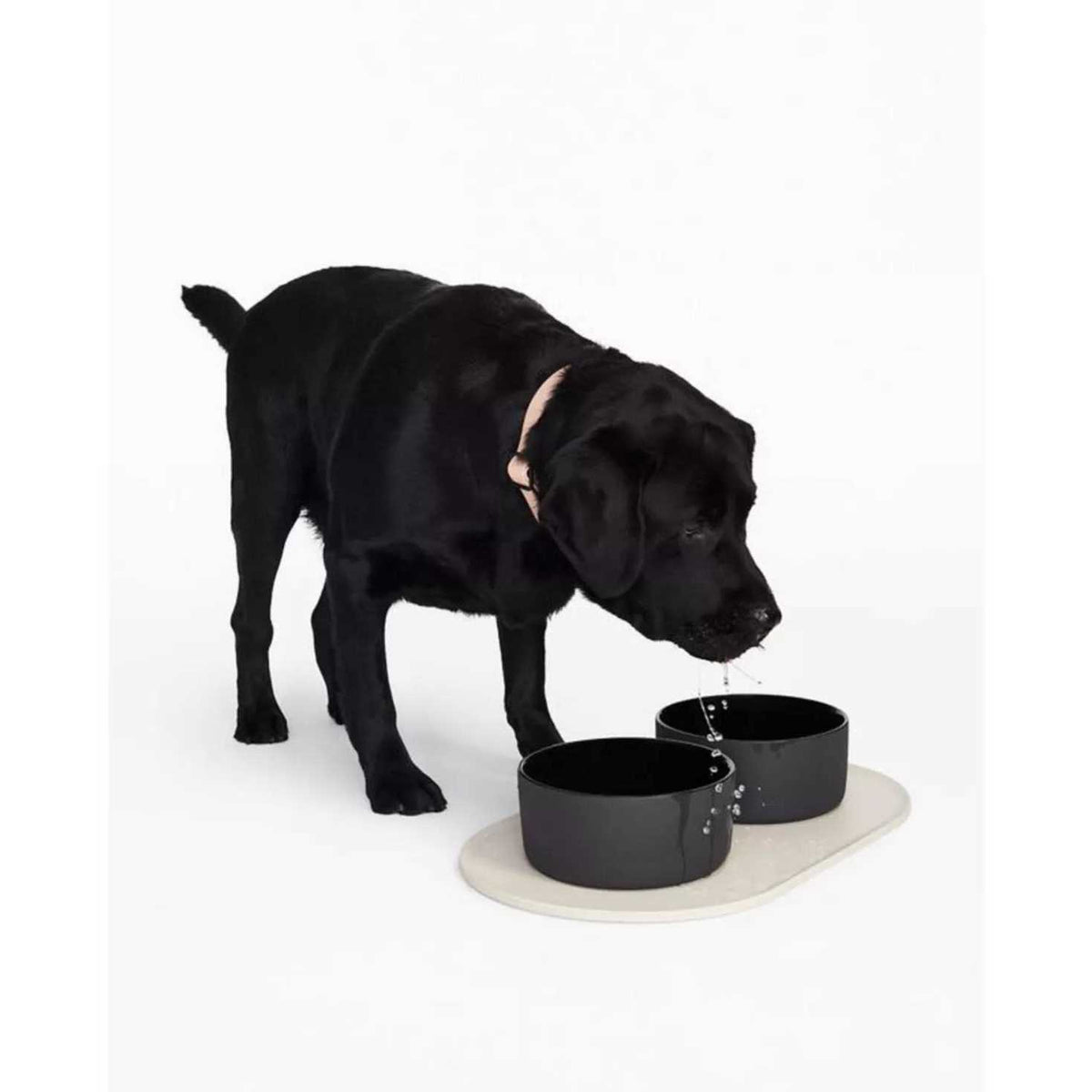 Dog Bowl Mat Y91293