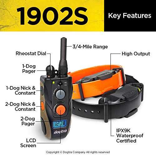 Remote Training Collar L703154