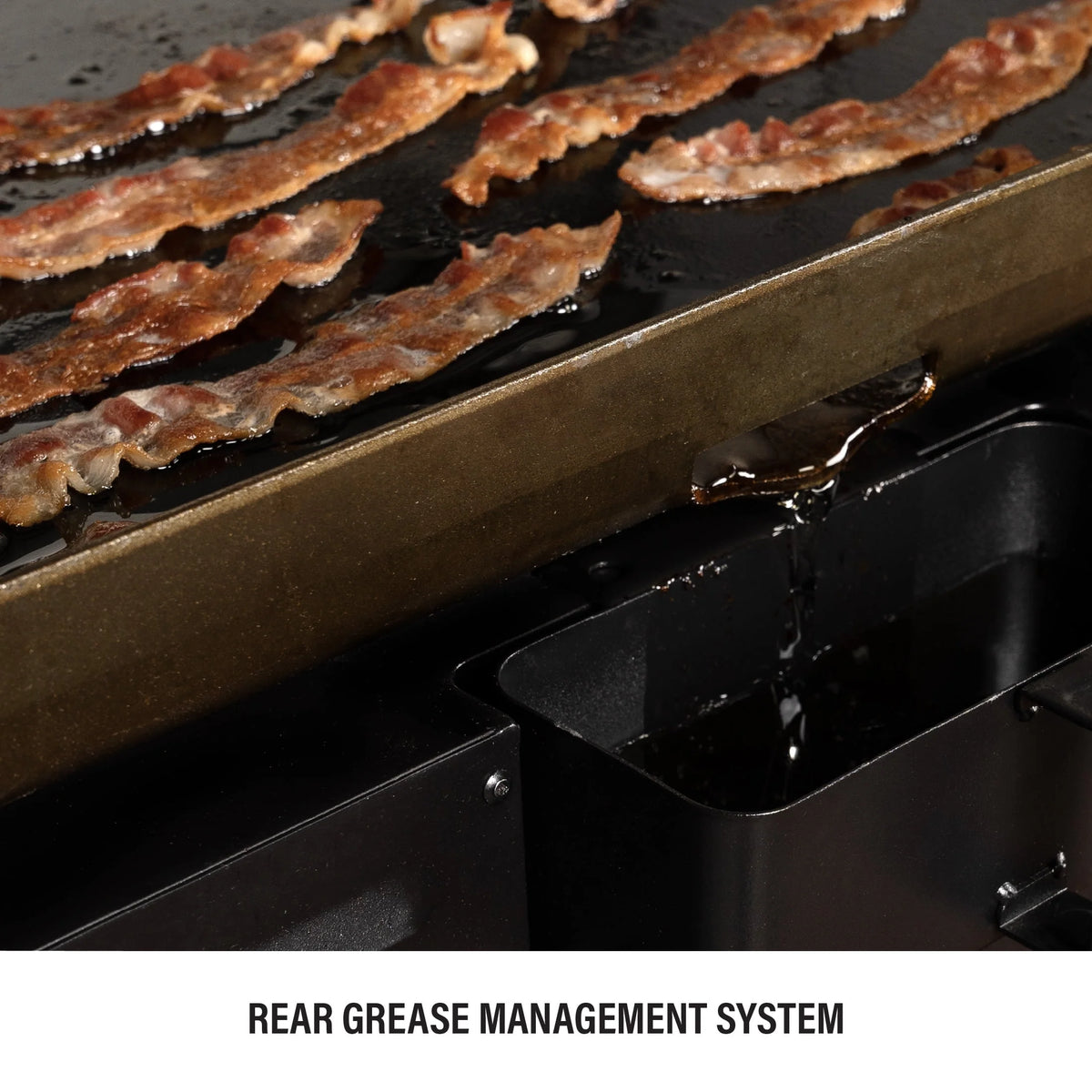 4-Burner Propane Griddle with Hard Cover S454770