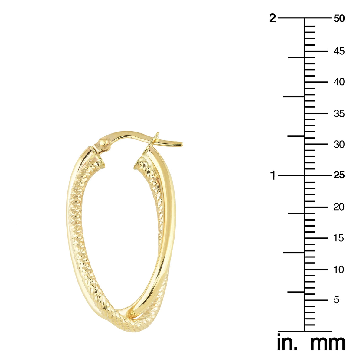 Oval Hoop Earrings T963