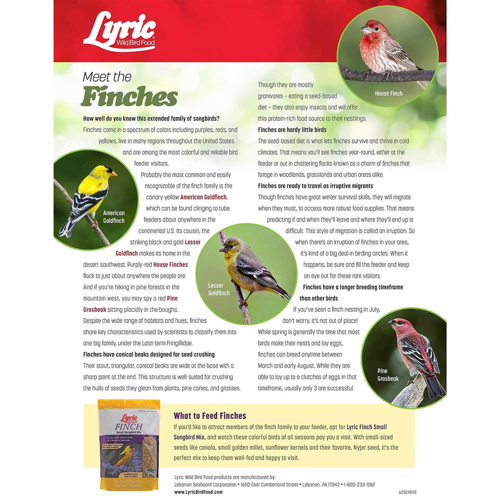 Small Songbird Wild Bird Food Q8553