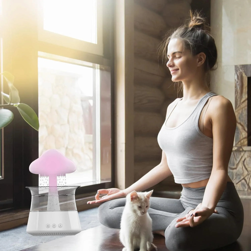 300ML Essential Oil Diffuser with 7 Colors LED Lights L976