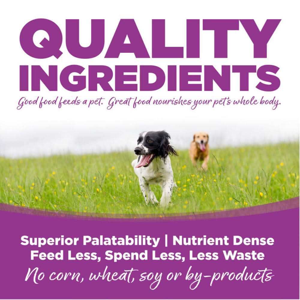 Chicken Rice Large-Breed Puppy Dry Dog Food S992075