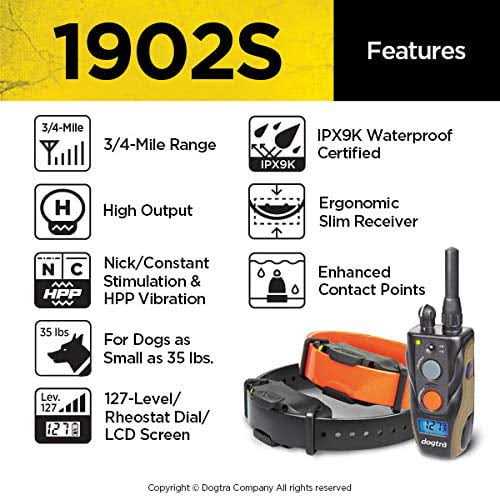 Remote Training Collar L703154