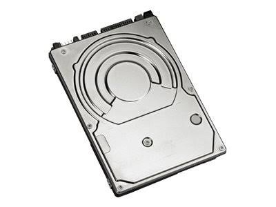 250GB 5400RPM SATA 2.5-inch Internal Hard Drive C856