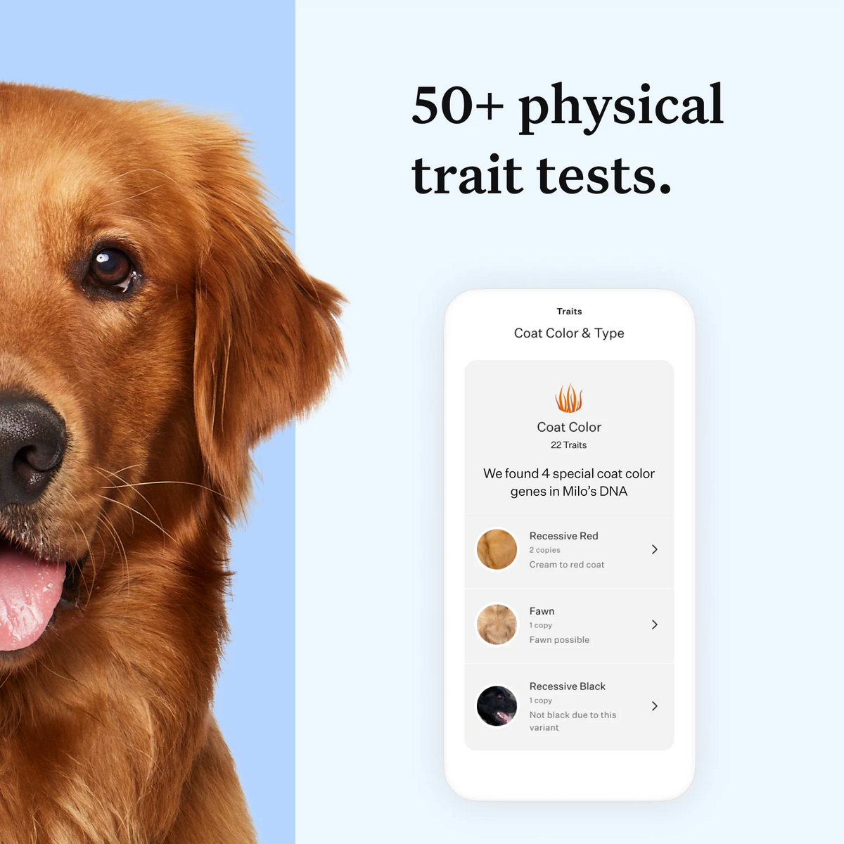 Dog DNA Test Kit M25081
