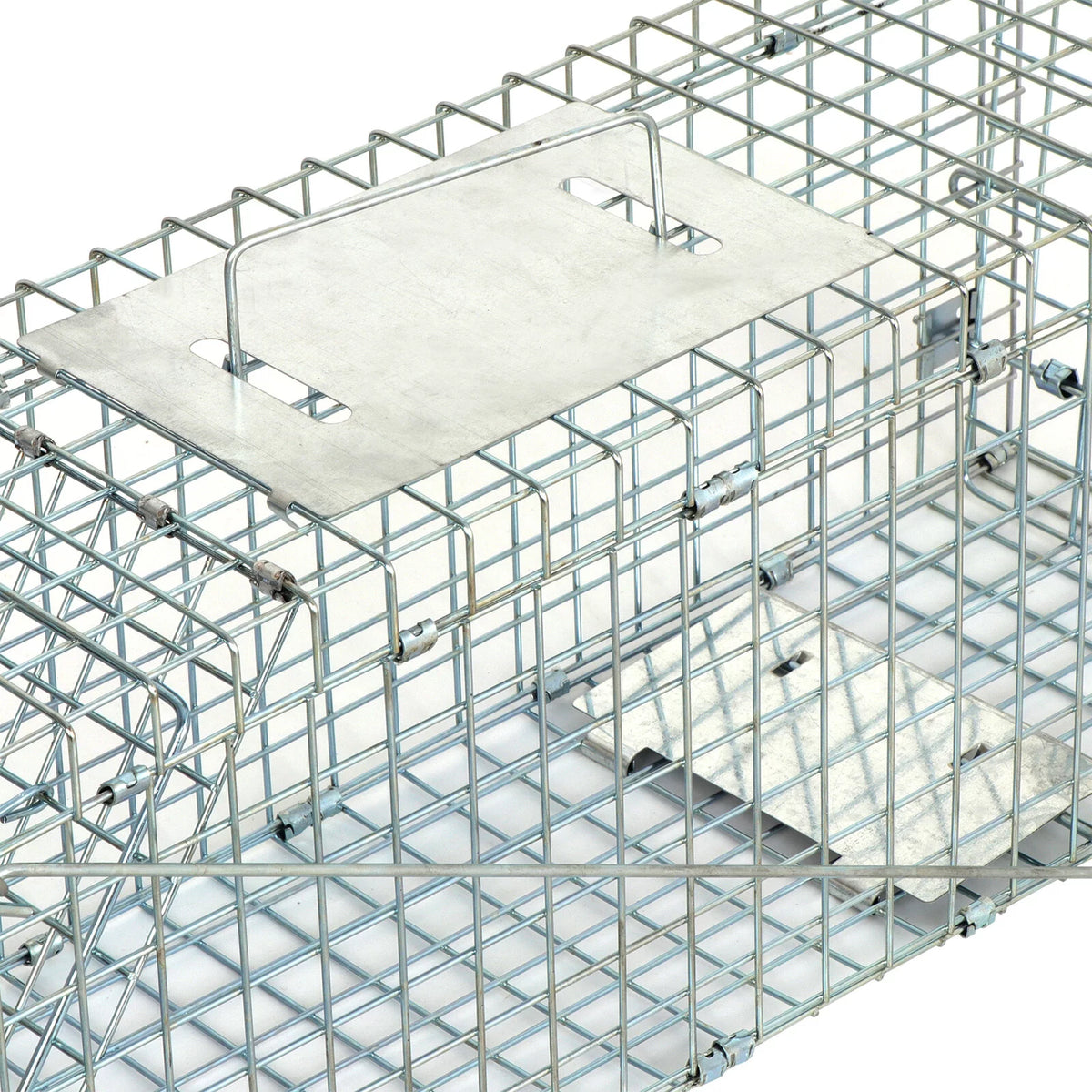 Foldable Live Animal Trap Cage Y59938