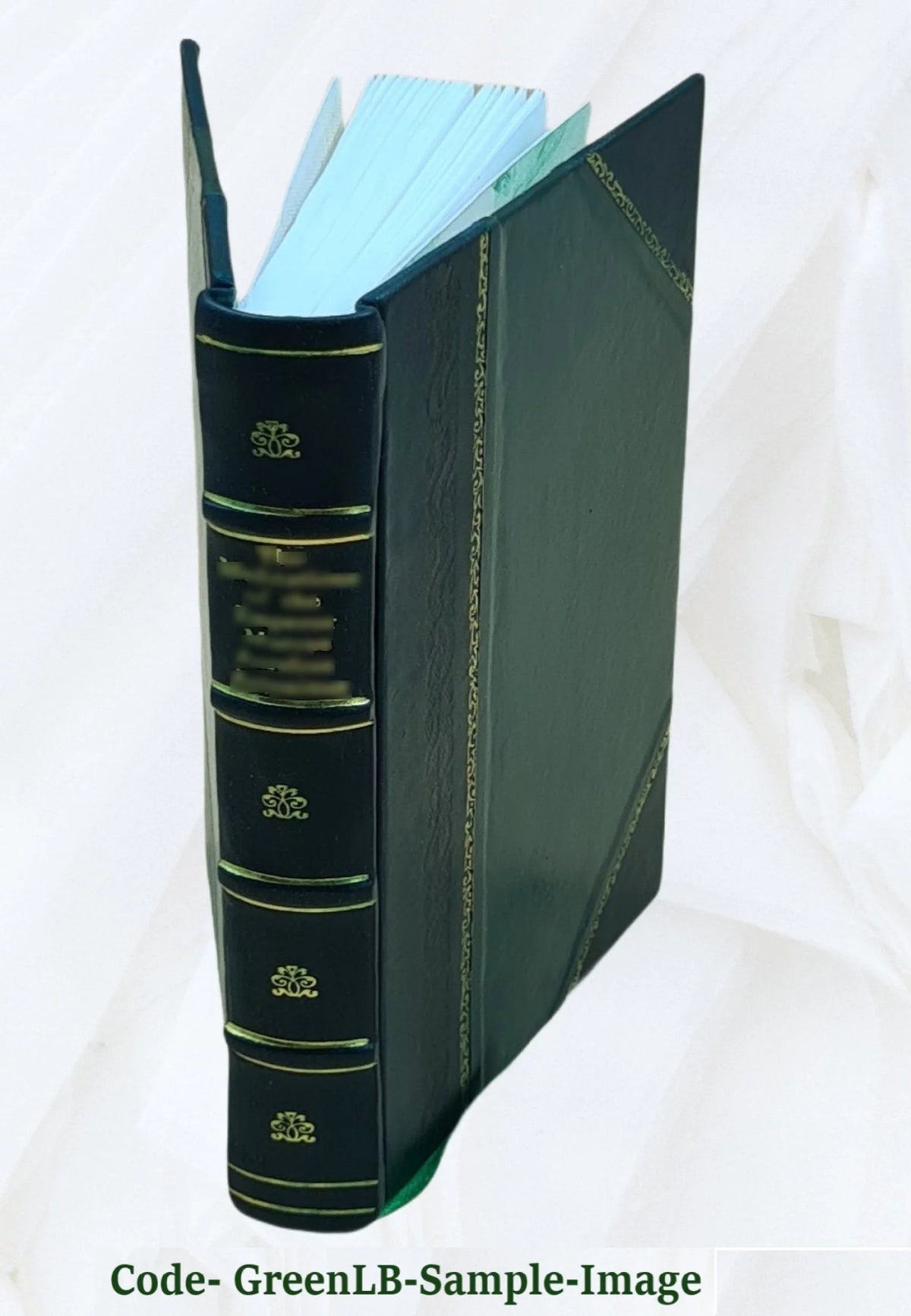 Leather Bound B808882