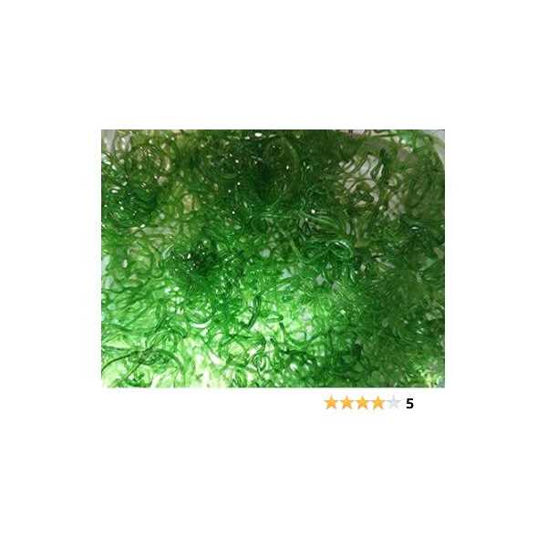 Chaeto T267