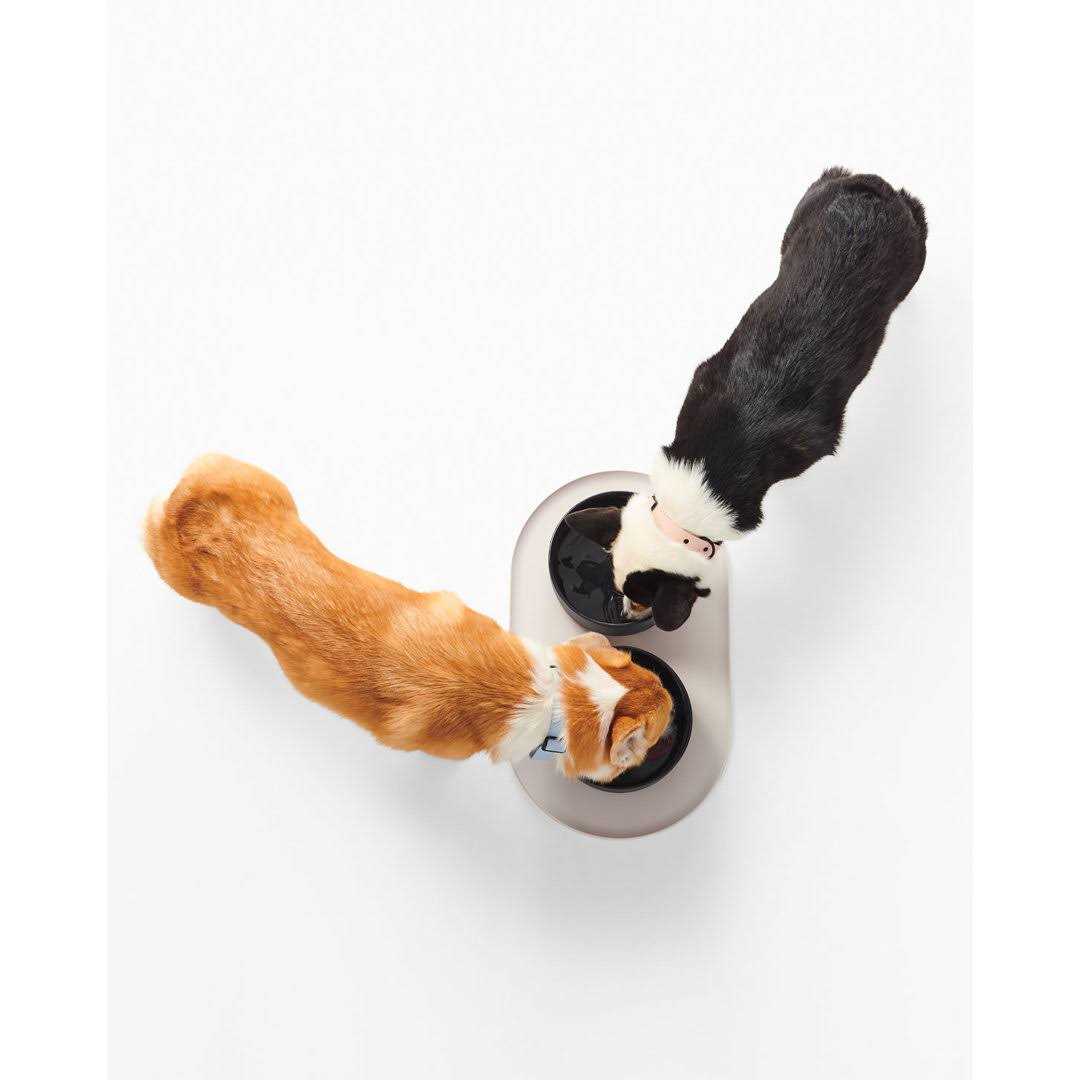 Dog Bowl Mat Y91293