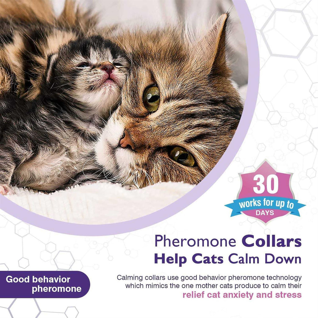 3 Pack Calming Collar H622
