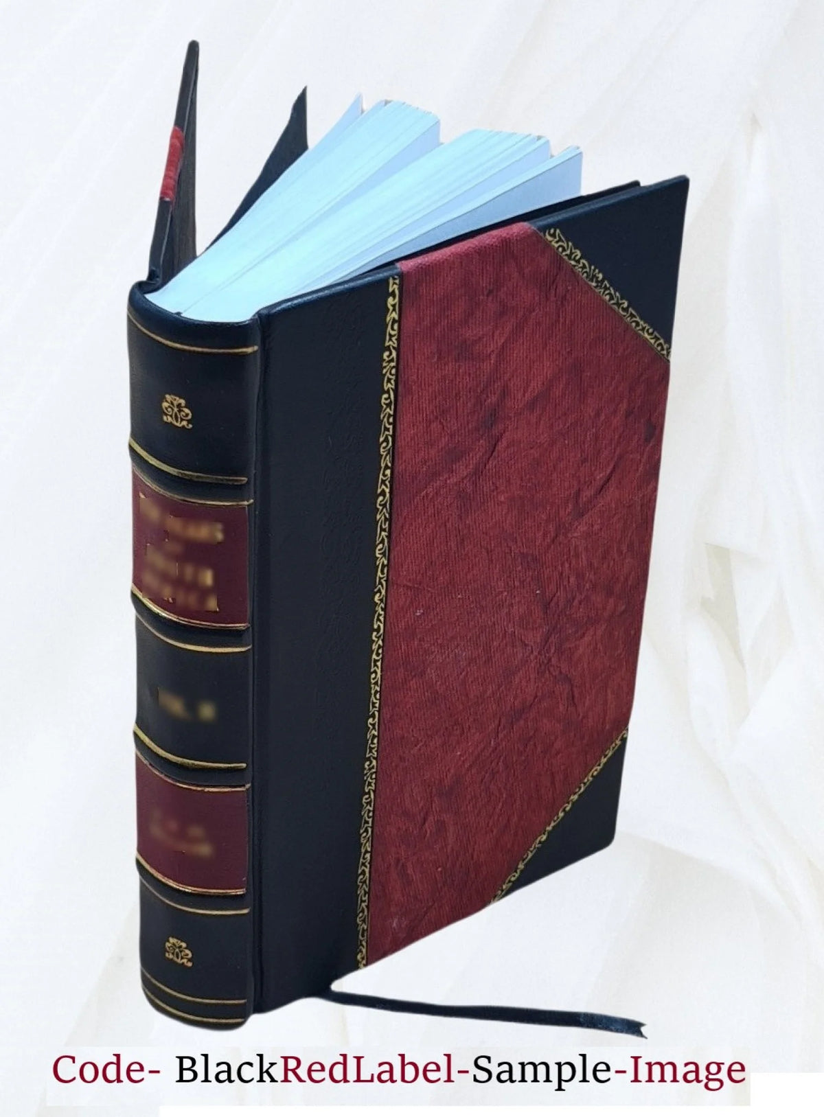 Leather Bound B808882