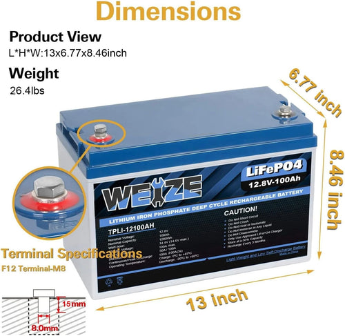 12V 100Ah LiFePO4 Lithium Battery with Smart BMS S209286