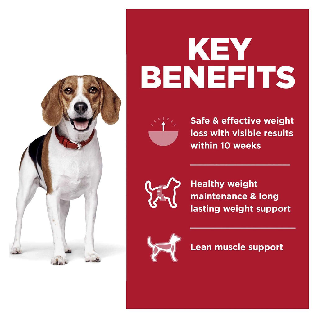 Adult Chicken Dog Food S448939